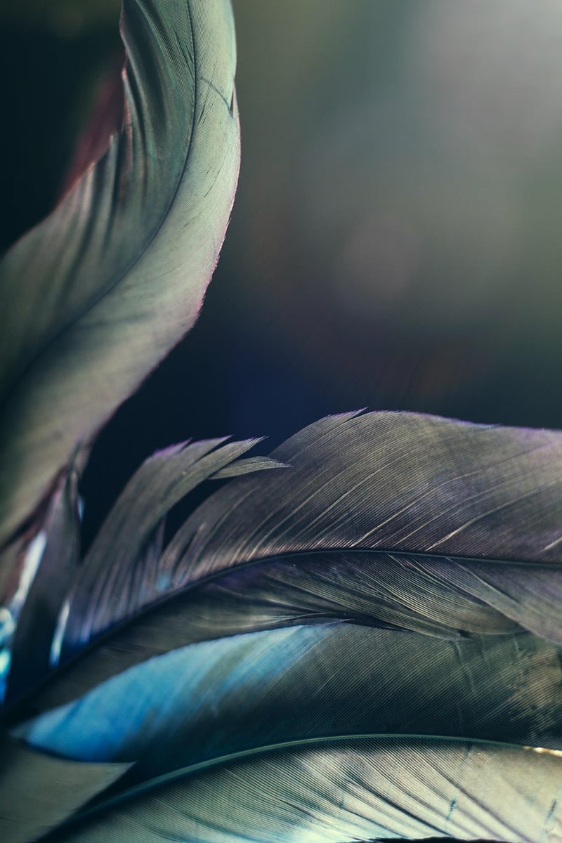 Fantasy unicorn in a magical landscape